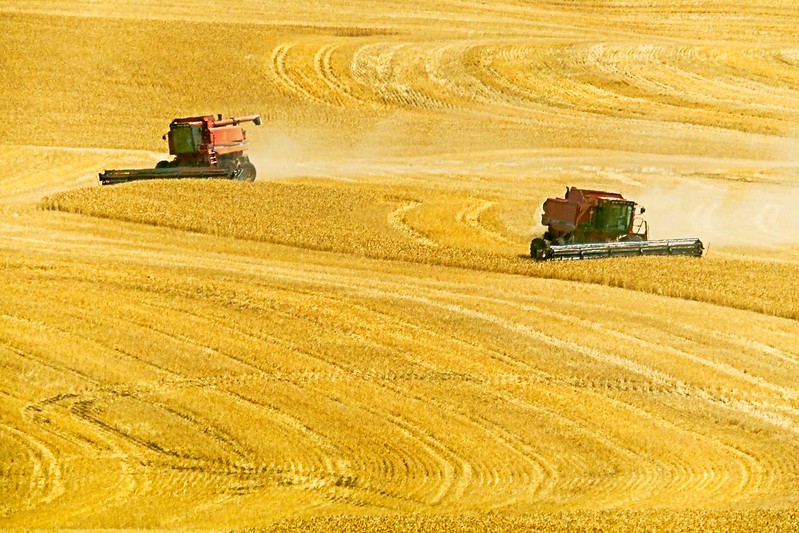 Das Getreideabkommen der Kriegsparteien veranschaulicht die globale Nahrungskrise